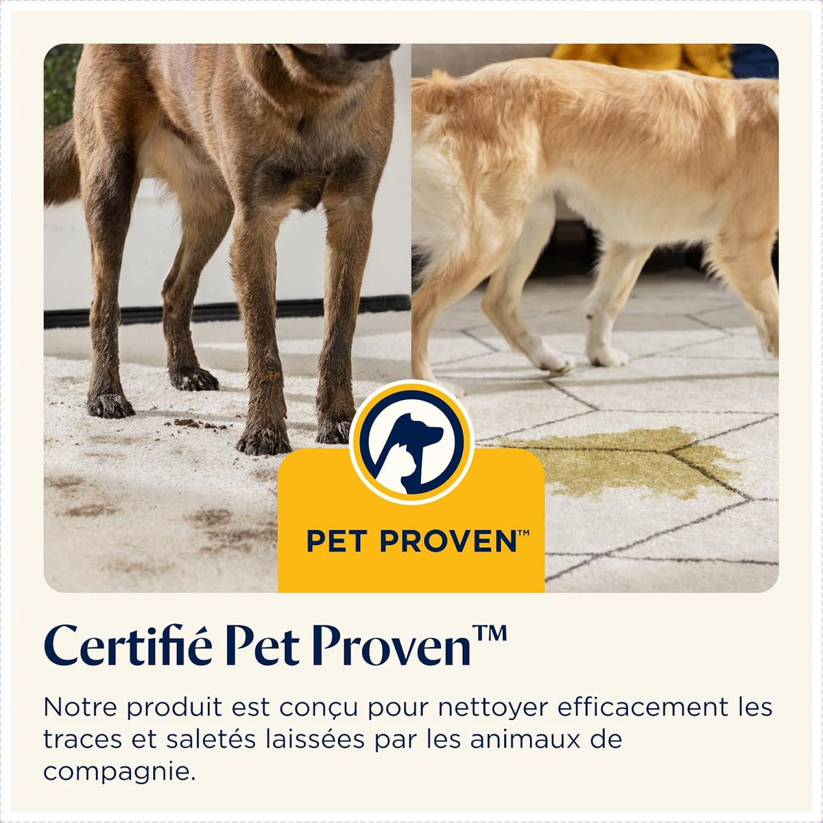 Bissell SpotClean Pet Pro Shampouineuse Canapé 750 W 2,8 L Vert/Noir
